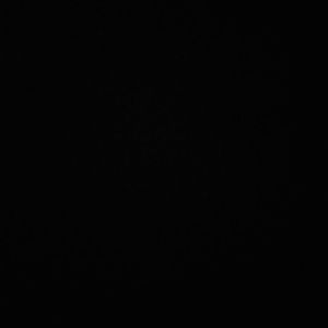 Meet your Posher, Maritza